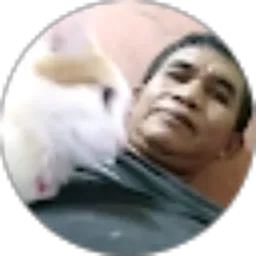 Review From Bedjo Sugiarto