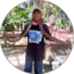 Review From AE Widodo