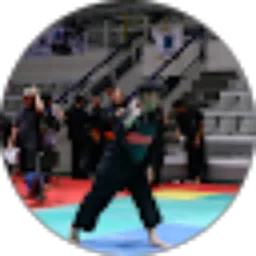 Review From 3IAO6_ Farkhan Anggoro Saputra