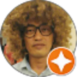 Review From Sonny Sandjojo