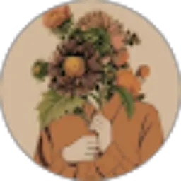 Review From dalva novela