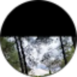 Review From Tiara Prihandini