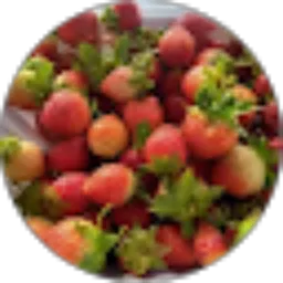 Review From Habibah Savitri