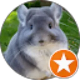 Review From Hary Febrian