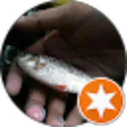 Review From Bagoz Firman