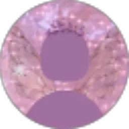 Review From Linyi Ii