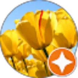 Review From salsabila kurniawan