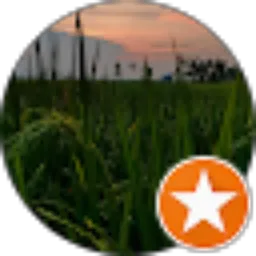 Review From Alank Nazli