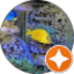 Review From Lutfi Riyoka Arkaan