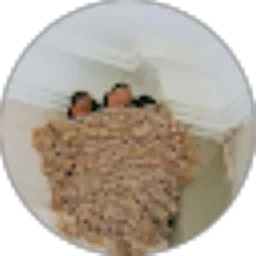 Review From TRI TUGEYONO