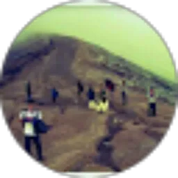 Review From bucet65@gmail.com oce