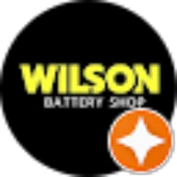 Review From wilson anthony
