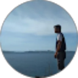 Review From Yogi Fangidae YF