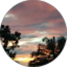 Review From Sulaiman Ras