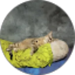 Review From Riyan Herlangga Latuperissa