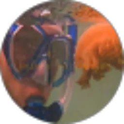 Review From boik Iqbal