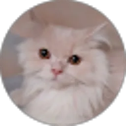 Review From Septia Maulita