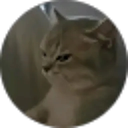 Review From Natasha Mikha Jie