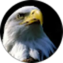 Review From Mas Damar