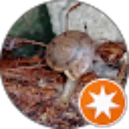 Review From pupung 'AB'E'