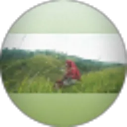 Review From Novita Sari Marpaung