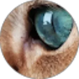 Review From ayda naya