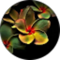 Review From Rekie Hernani