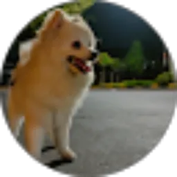 Review From Mayang Putri Sianipar