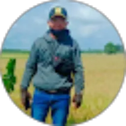 Review From Arief Farel