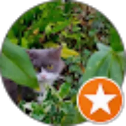 Review From Camellia Green Farida