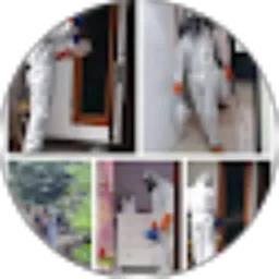 Review From KP-Ludi agustian