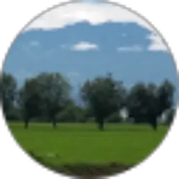 Review From hananto wibowo