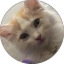 Review From Fadila Niken