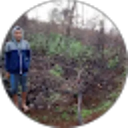 Review From Muhammad Aryandika