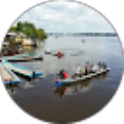 Review From Fajar Hapsari Nugroho