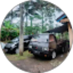 Review From Widi Gendon899