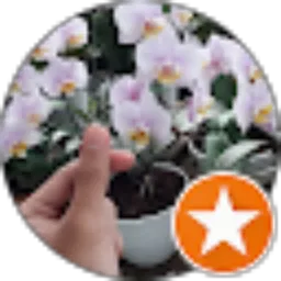 Review From Atik Minarti