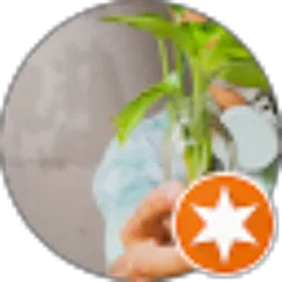 Review From AoW Project ID