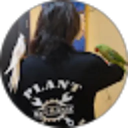 Review From ahmad soleh