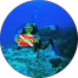 Review From henry simanjuntak