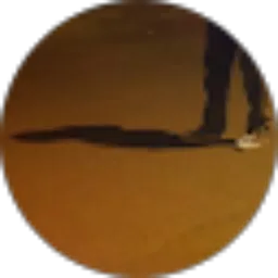 Review From Fahri Tjikoa