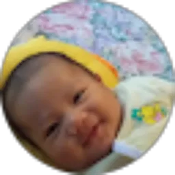 Review From Abi Al Farisi