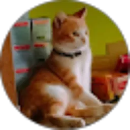 Review From Rizky anugerah