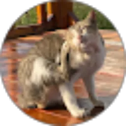 Review From Ali Ahmadi