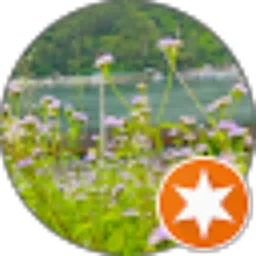 Review From tricia atrinata