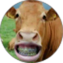 Review From Faizal Shakti