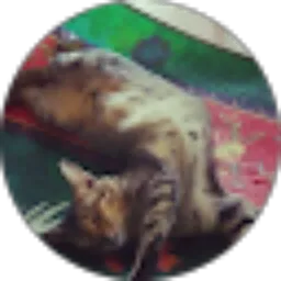 Review From Muhammad Zaid Nazli Arifin