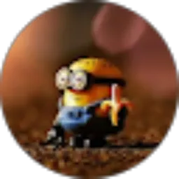 Review From 295_ Muhammad Alif Shaifudin