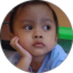 Review From Toto Ardiyanto