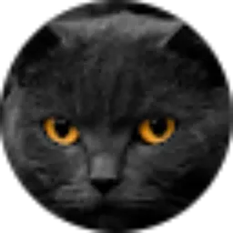 Review From Raka Anggria